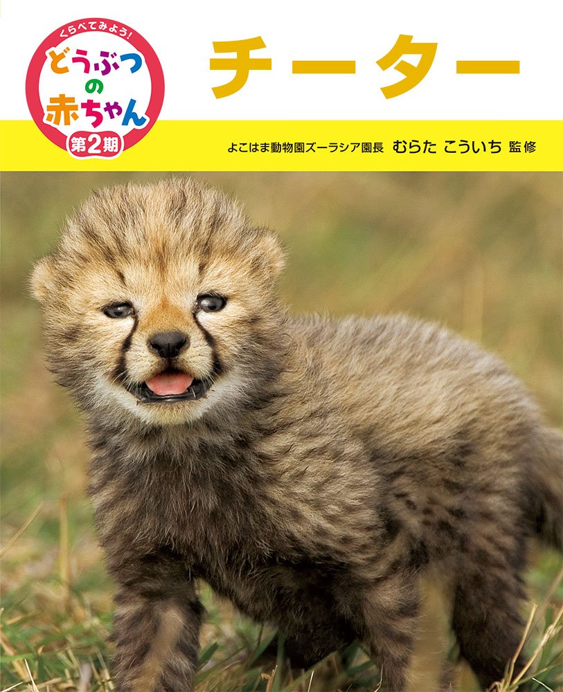 Amazon.co.jp: チーター : むらた こういち: Japanese Books